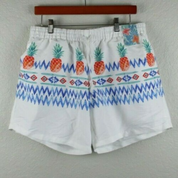 chubbies pineapple bathing suit